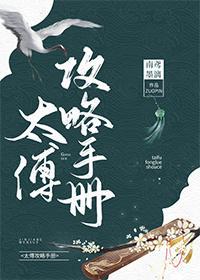 太傅攻略手册封面