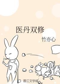 医丹双修封面