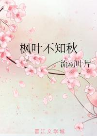 枫叶不知秋封面