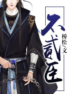 不贰臣封面