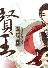 [综]贤王封面