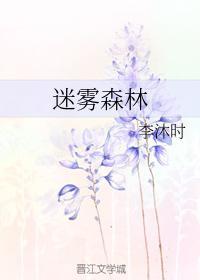 迷雾森林封面