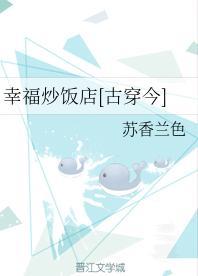 幸福炒饭店[古穿今]封面