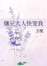 继兄大人快宠我封面