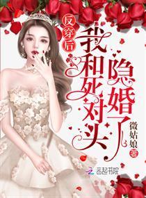 反穿后我和死对头隐婚了封面
