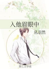 入他眉眼中封面
