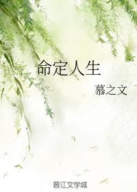 命定人生封面