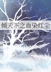 倾天下之血染红尘封面