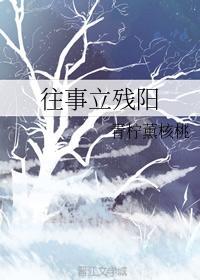 往事立残阳封面