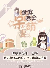 便宜老公呆萌妻封面