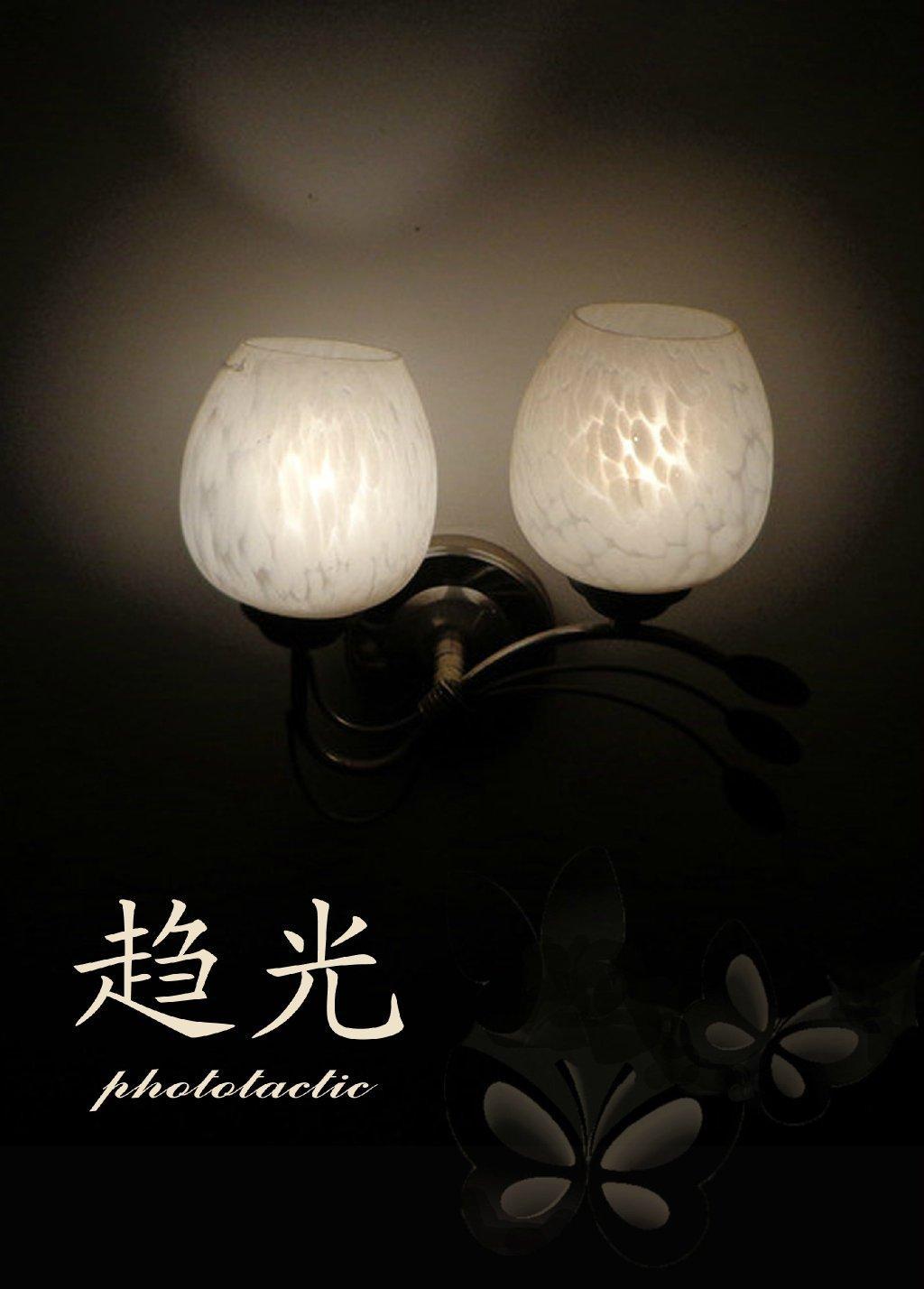 趋光封面