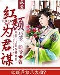 红颜为君谋封面