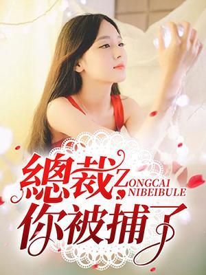 总裁，你被捕了封面