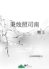 秉烛照司南封面