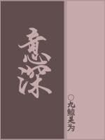 意深封面