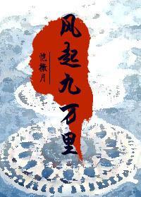 风起九万里封面