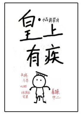 皇上有疾封面