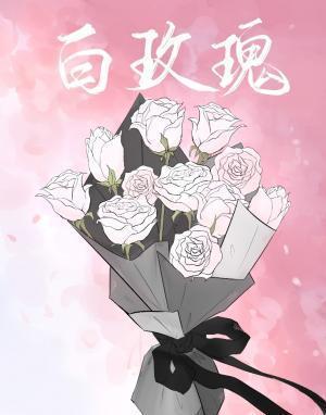 白玫瑰封面
