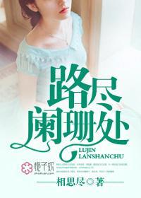 路尽阑珊处封面