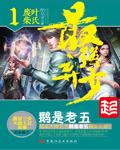 小说叶默宁轻雪封面
