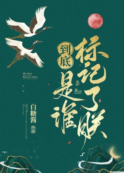 到底是谁标记了朕封面