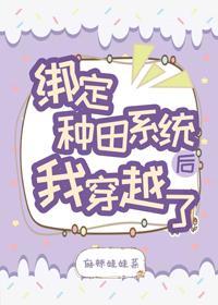 绑定种田系统后我穿越了（系统）封面