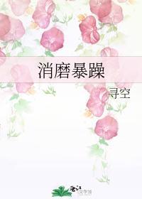 消磨暴躁封面