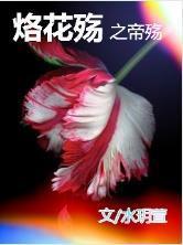 烙花殇之帝殇封面