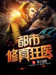 踏破凌霄封面