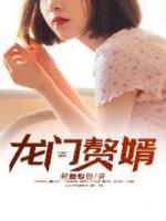 龙门赘婿封面