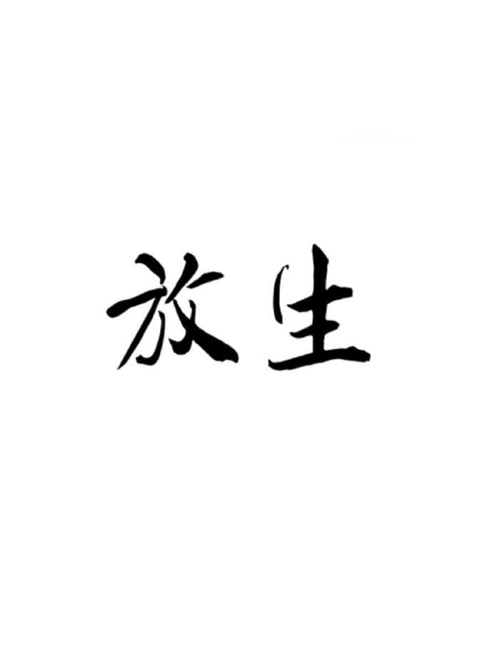 放生封面