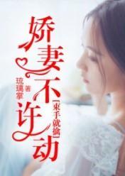 刁蛮小妻乖乖的封面