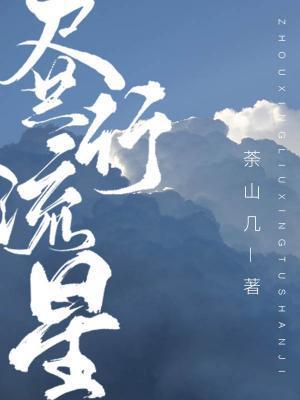 昼行流星封面