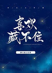 喜欢藏不住封面