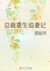 总裁重生追妻记封面