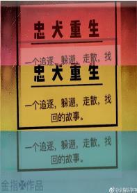 忠犬重生封面