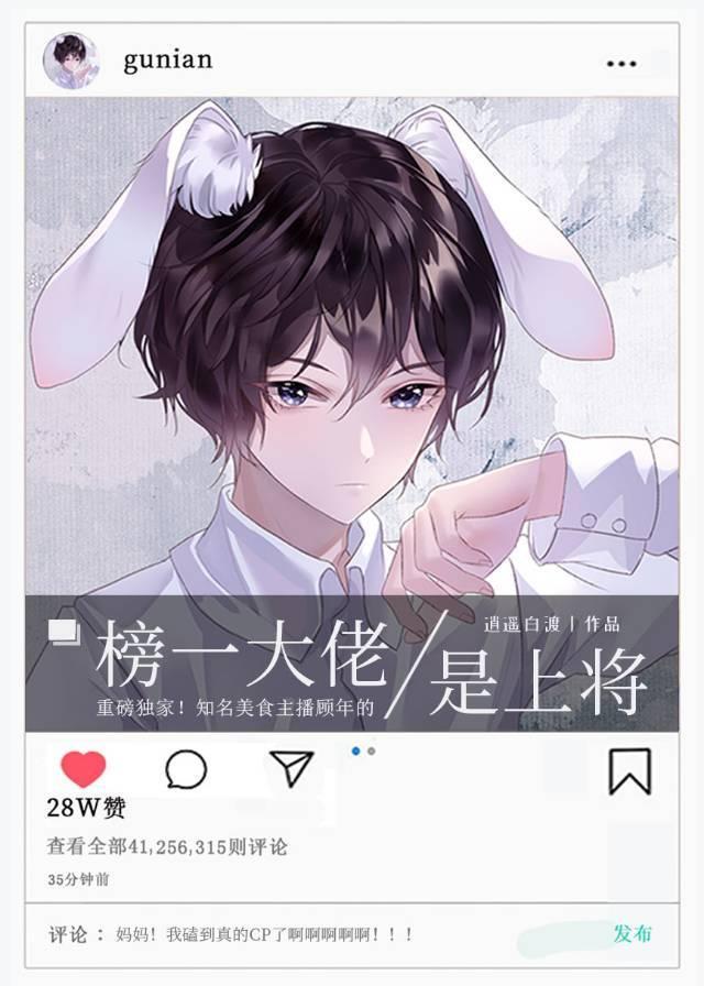 榜一大佬是上将封面