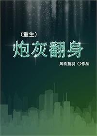 （重生）炮灰翻身封面