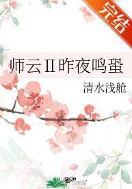 师云Ⅱ昨夜鸣蛩封面