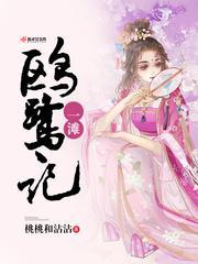一滩鸥鹭记封面