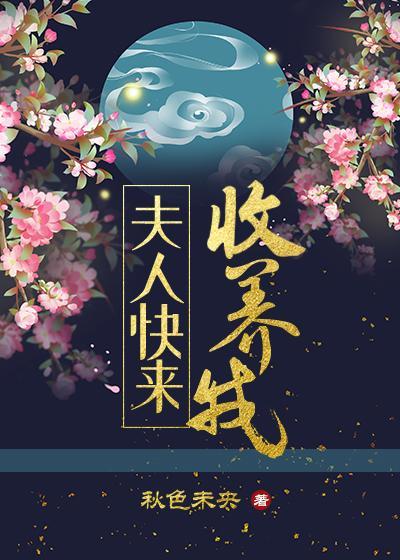 夫人快来收养我封面