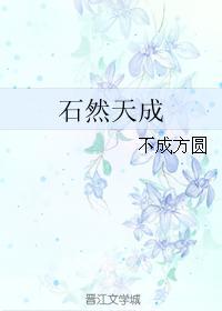 石然天成封面