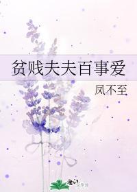 贫贱夫夫百事爱封面