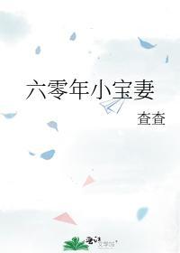 六零年小宝妻封面