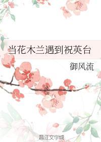 当花木兰遇到祝英臺封面