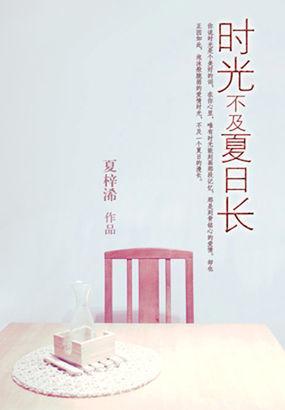 时光不及夏日长封面