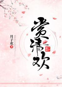 赏清欢封面