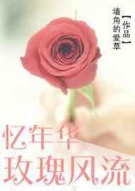 忆年华，玫瑰风流封面