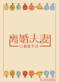 离婚夫妻封面