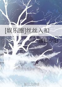 [娱乐圈]丝丝入扣封面